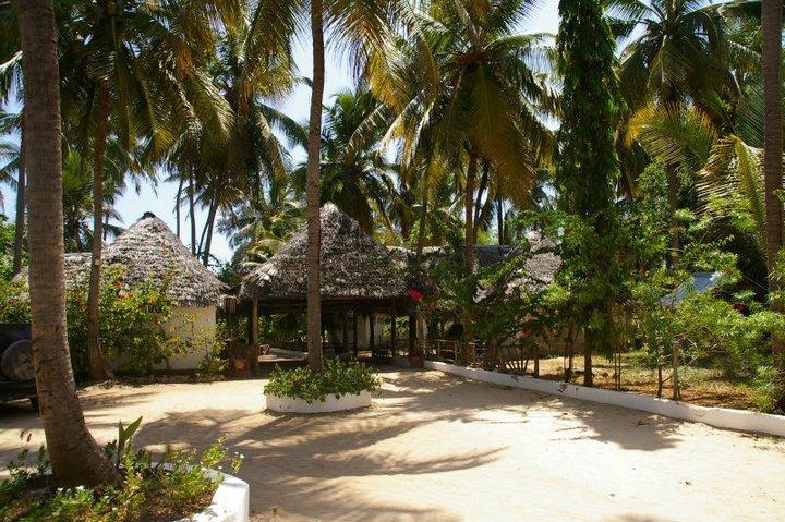 Ndame Beach Lodge Paje Esterno foto