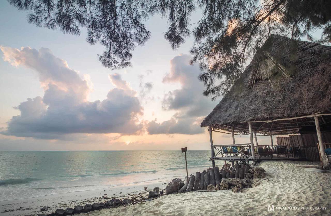 Ndame Beach Lodge Paje Esterno foto