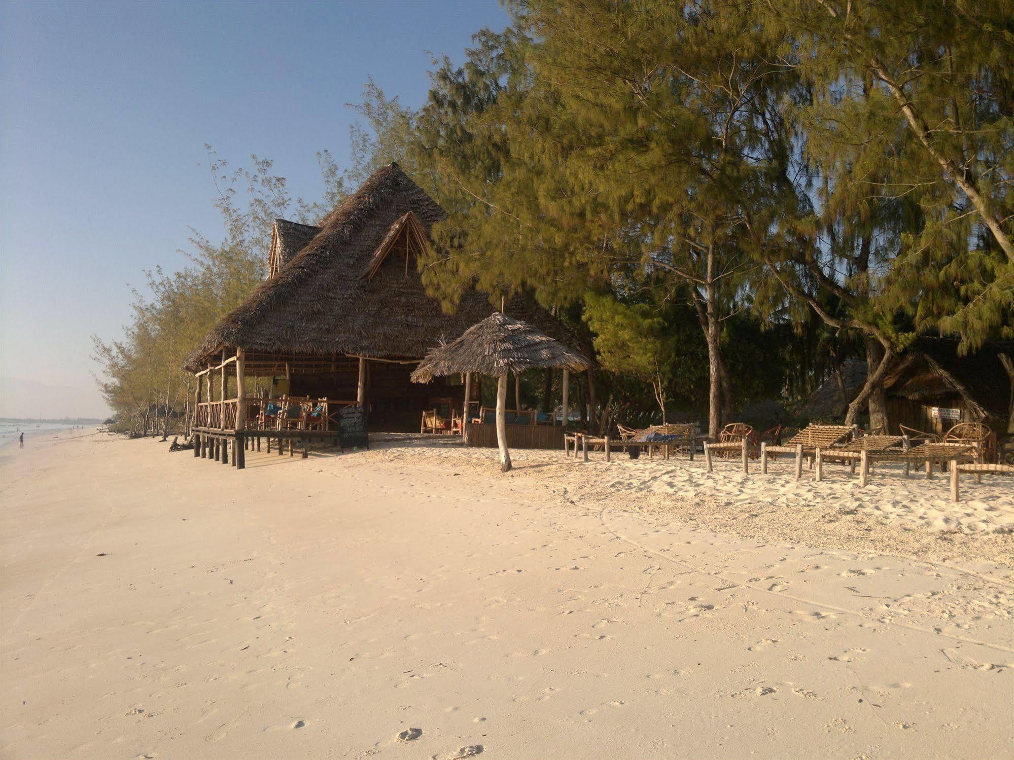 Ndame Beach Lodge Paje Esterno foto